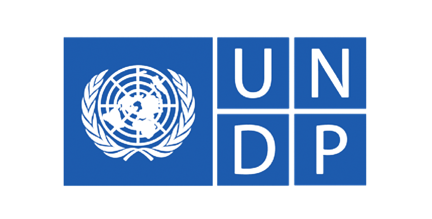UNDP Logo